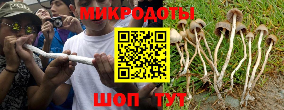 Галлюциногенные грибы мухоморы Гуково