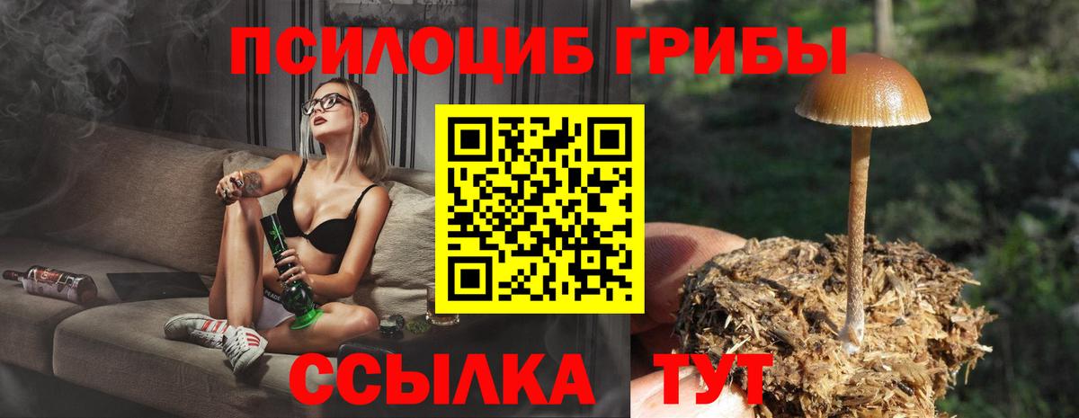 Галлюциногенные грибы Cubensis  Вход с VPN  Гуково 